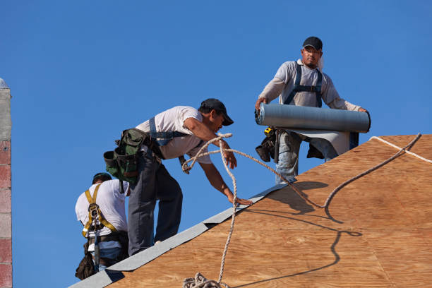 Best New Roof Installation  in De Leon Springs, FL